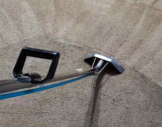 carpet cleaning epping