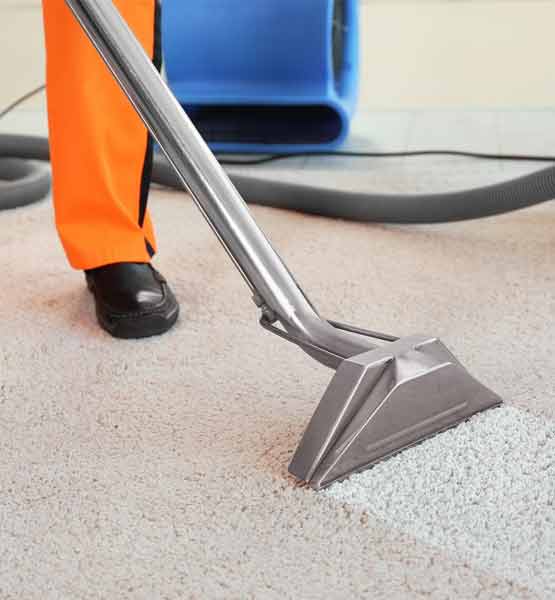 Carpet Stain Removal in Epping